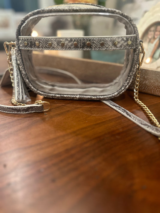 Transparent Mini Clear Tote/Crossbody